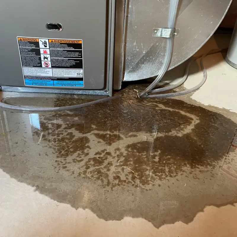 Appliance Leak Cleanup in View Park-Windsor Hills, CA